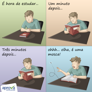 Meme Mosca